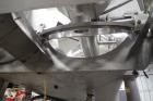 2008 Mepaco Dual Ribbon Blender